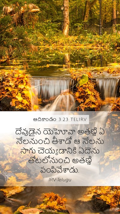 ఆదికాండం 3:23 TELIRV Bible Verse Image