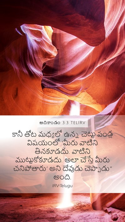 ఆదికాండం 3:3 TELIRV Bible Verse Image