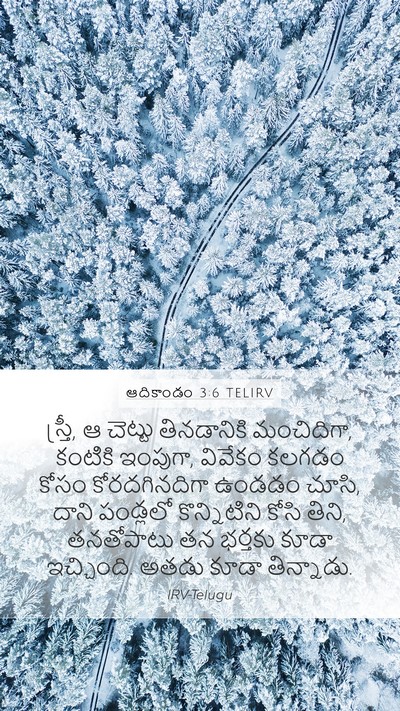 ఆదికాండం 3:6 TELIRV Bible Verse Image