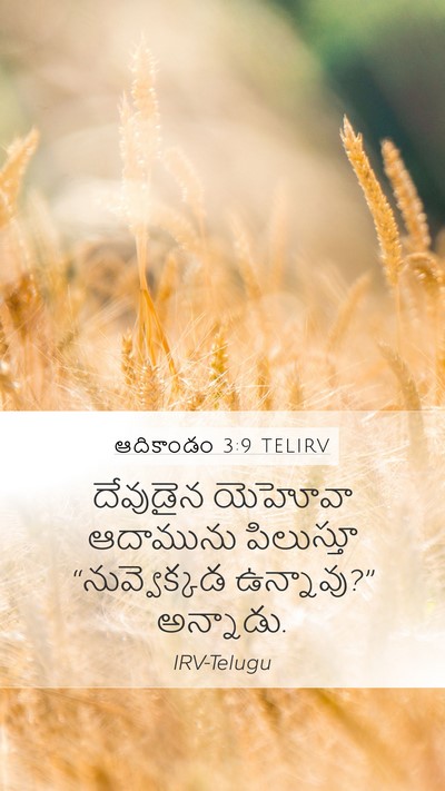 ఆదికాండం 3:9 TELIRV Bible Verse Image