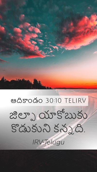 ఆదికాండం 30:10 TELIRV Bible Verse Image