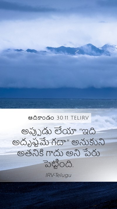 ఆదికాండం 30:11 TELIRV Mobile Phone Wallpaper - అప్పుడు లేయా “ఇది - Mobile Bible Verse Wallpaper