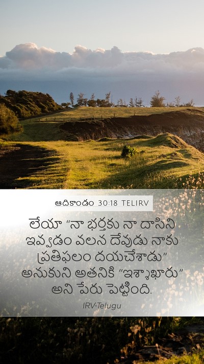 ఆదికాండం 30:18 TELIRV Bible Verse Image