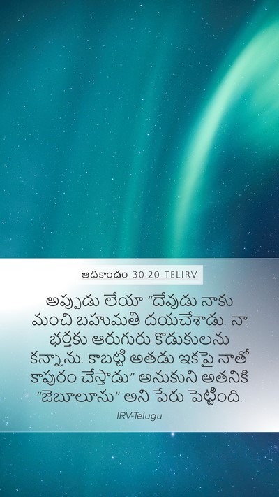 ఆదికాండం 30:20 TELIRV Bible Verse Image