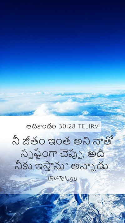 ఆదికాండం 30:28 TELIRV Mobile Phone Wallpaper - నీ జీతం ఇంత అని - Mobile Bible Verse Wallpaper