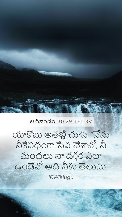 ఆదికాండం 30:29 TELIRV Bible Verse Image