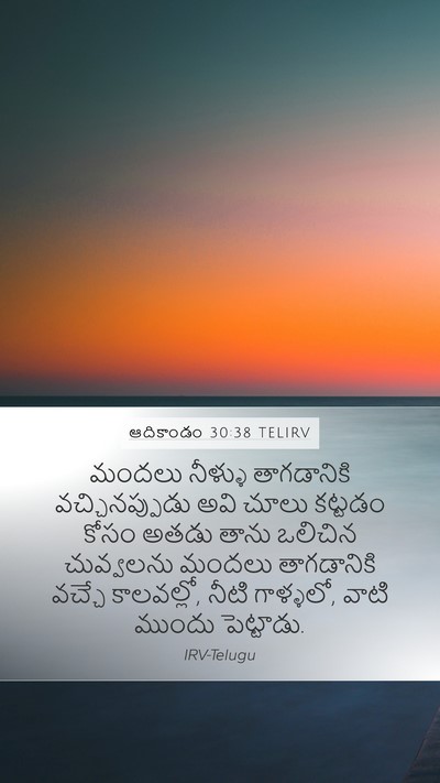 ఆదికాండం 30:38 TELIRV Mobile Phone Wallpaper - మందలు నీళ్ళు - Mobile Bible Verse Wallpaper