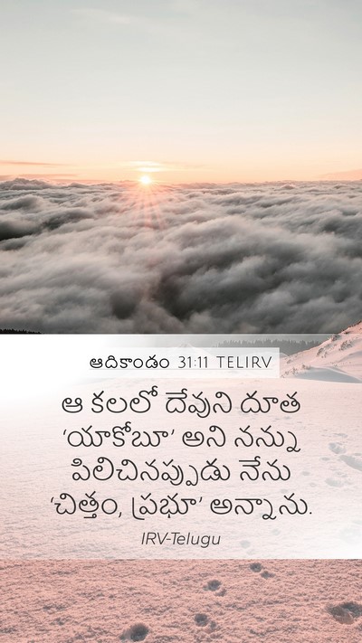 ఆదికాండం 31:11 TELIRV Bible Verse Image