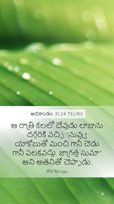 ఆదికాండం 31:24 TELIRV Bible Verse Image