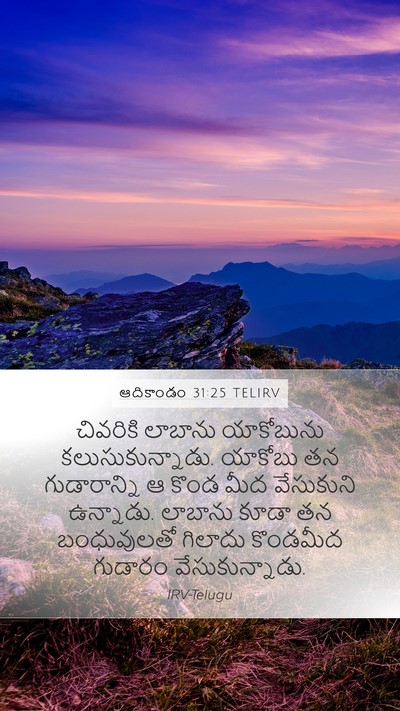 ఆదికాండం 31:25 TELIRV Mobile Phone Wallpaper - చివరికి లాబాను - Mobile Bible Verse Wallpaper