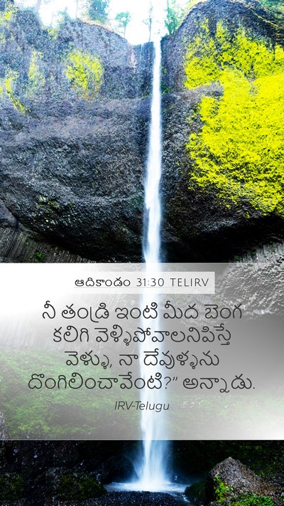 ఆదికాండం 31:30 TELIRV Bible Verse Image