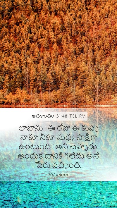 ఆదికాండం 31:48 TELIRV Bible Verse Image
