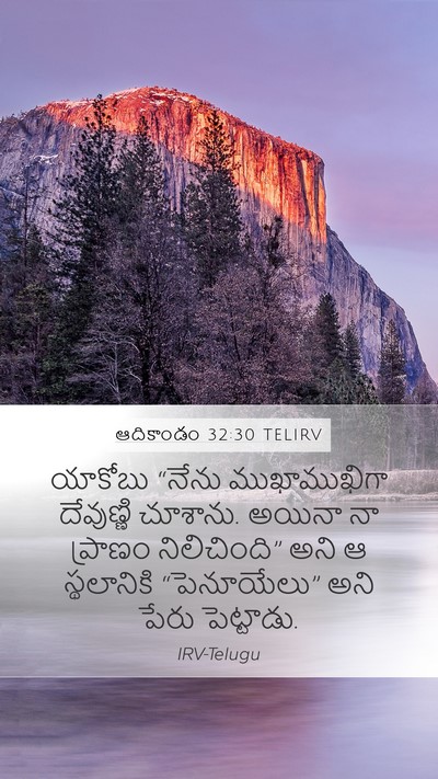 ఆదికాండం 32:30 TELIRV Bible Verse Image