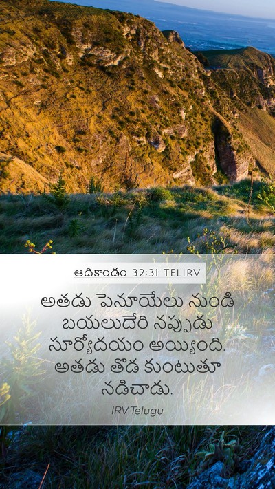 ఆదికాండం 32:31 TELIRV Bible Verse Image