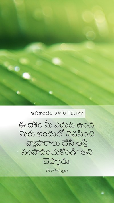 ఆదికాండం 34:10 TELIRV Bible Verse Image