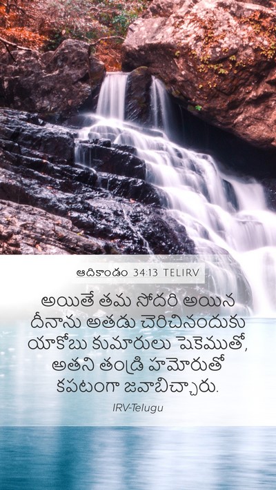 ఆదికాండం 34:13 TELIRV Bible Verse Image