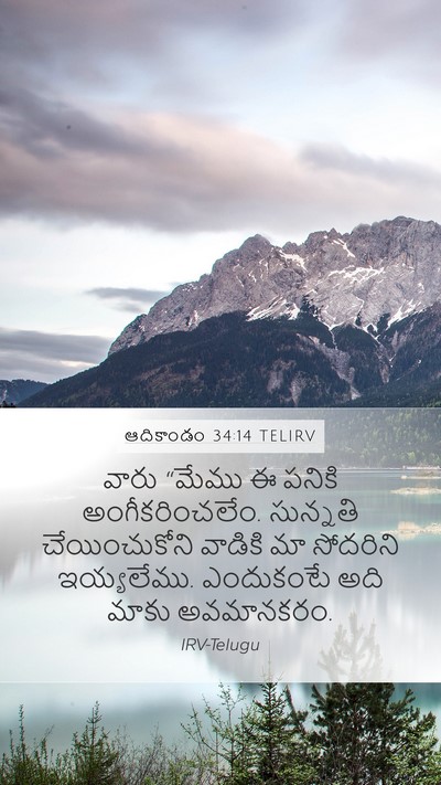 ఆదికాండం 34:14 TELIRV Bible Verse Image