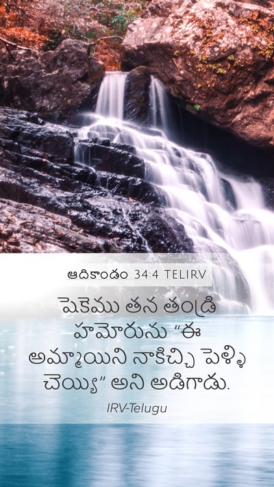 ఆదికాండం 34:4 TELIRV Bible Verse Image
