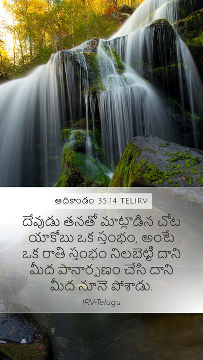 ఆదికాండం 35:14 TELIRV Bible Verse Image