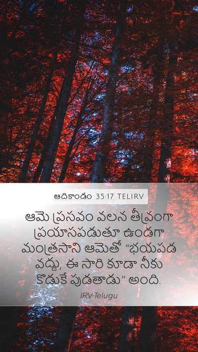 ఆదికాండం 35:17 TELIRV Bible Verse Image