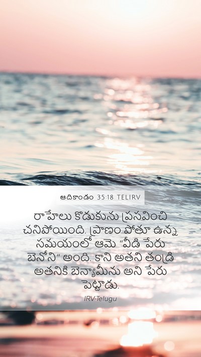 ఆదికాండం 35:18 TELIRV Bible Verse Image