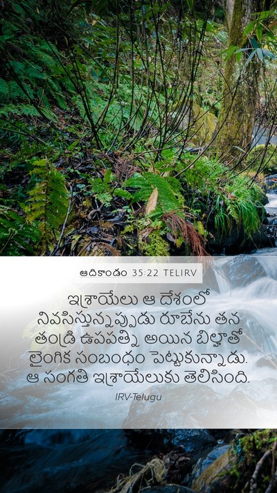 ఆదికాండం 35:22 TELIRV Bible Verse Image