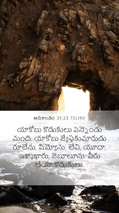 ఆదికాండం 35:23 TELIRV Bible Verse Image