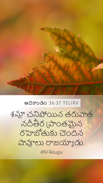 ఆదికాండం 36:37 TELIRV Mobile Phone Wallpaper - శమ్లా చనిపోయిన - Mobile Bible Verse Wallpaper