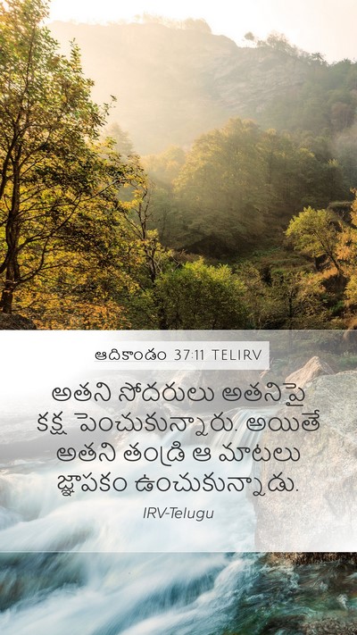 ఆదికాండం 37:11 TELIRV Bible Verse Image