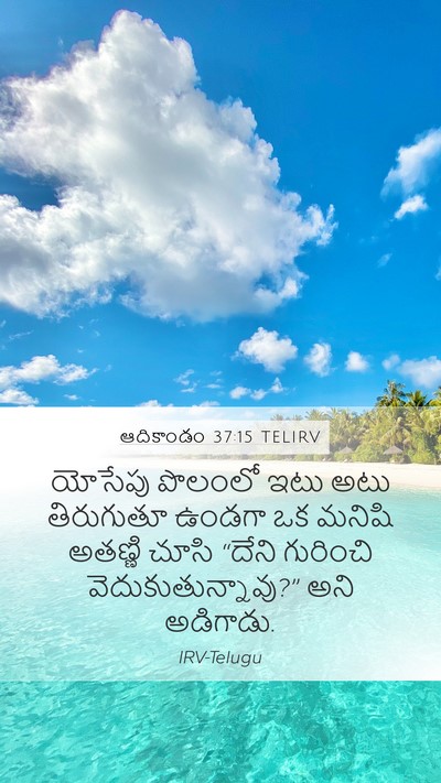ఆదికాండం 37:15 TELIRV Mobile Phone Wallpaper - యోసేపు పొలంలో ఇటు - Mobile Bible Verse Wallpaper