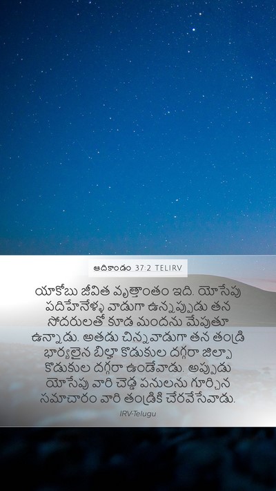 ఆదికాండం 37:2 TELIRV Bible Verse Image