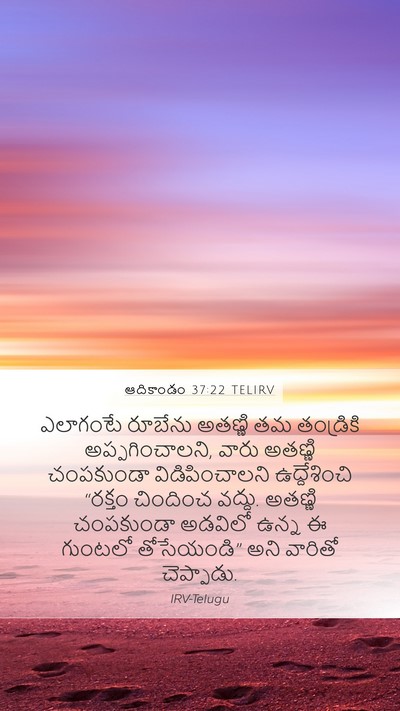 ఆదికాండం 37:22 TELIRV Bible Verse Image
