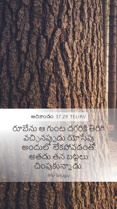 ఆదికాండం 37:29 TELIRV Bible Verse Image