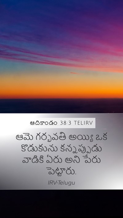 ఆదికాండం 38:3 TELIRV Mobile Phone Wallpaper - ఆమె గర్భవతి అయ్యి - Mobile Bible Verse Wallpaper