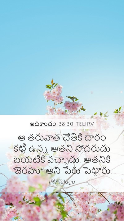 ఆదికాండం 38:30 TELIRV Bible Verse Image