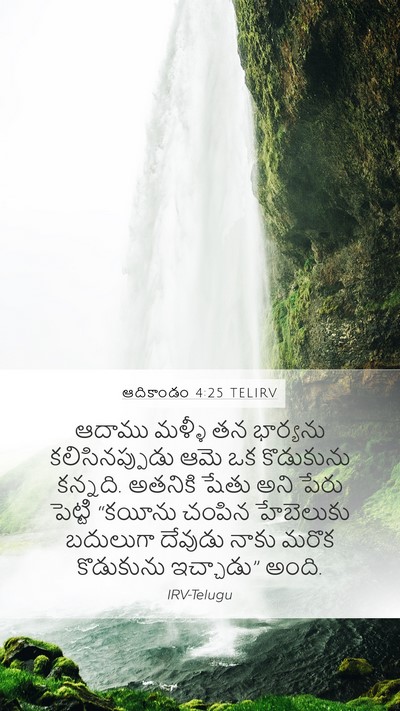 ఆదికాండం 4:25 TELIRV Bible Verse Image