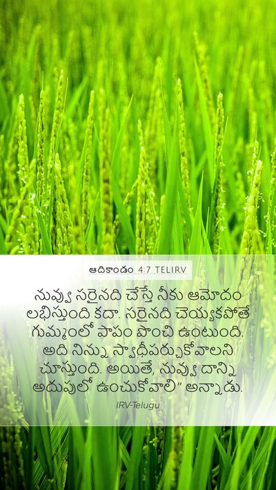 ఆదికాండం 4:7 TELIRV Bible Verse Image