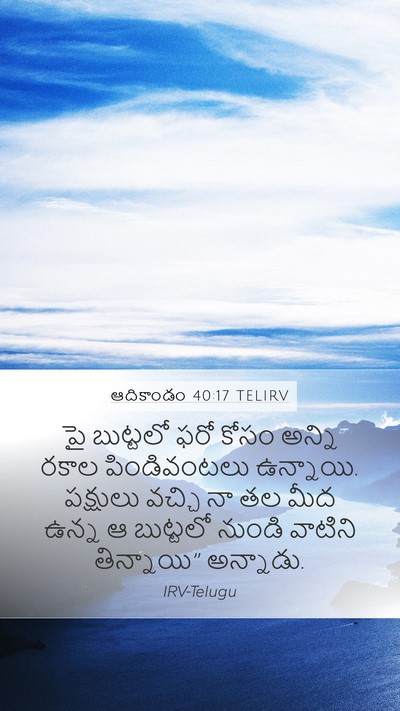ఆదికాండం 40:17 TELIRV Mobile Phone Wallpaper - పై బుట్టలో ఫరో - Mobile Bible Verse Wallpaper
