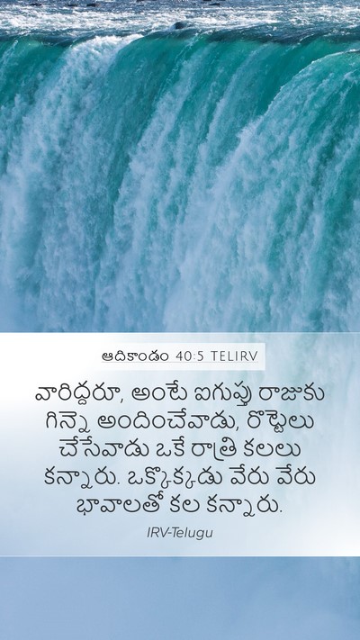 ఆదికాండం 40:5 TELIRV Bible Verse Image