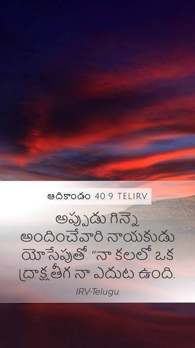 ఆదికాండం 40:9 TELIRV Mobile Phone Wallpaper - అప్పుడు గిన్నె - Mobile Bible Verse Wallpaper