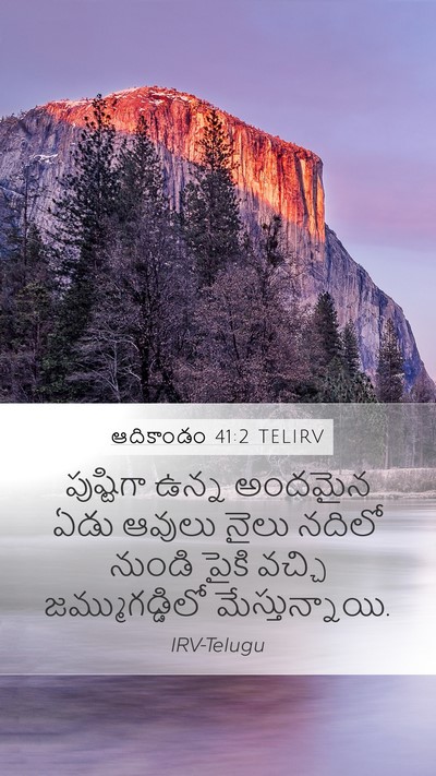ఆదికాండం 41:2 TELIRV Mobile Phone Wallpaper - పుష్టిగా ఉన్న - Mobile Bible Verse Wallpaper
