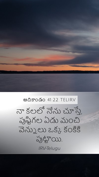 ఆదికాండం 41:22 TELIRV Mobile Phone Wallpaper - నా కలలో నేను - Mobile Bible Verse Wallpaper