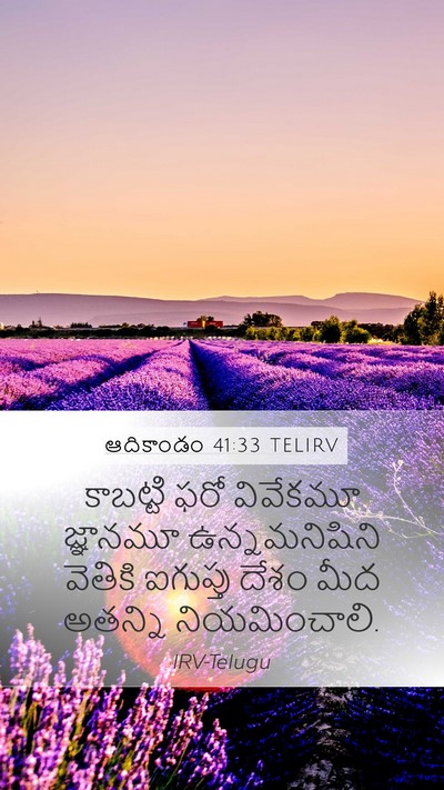 ఆదికాండం 41:33 TELIRV Bible Verse Image