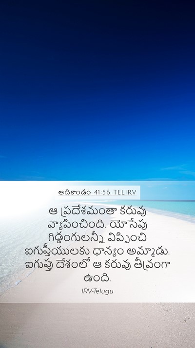 ఆదికాండం 41:56 TELIRV Bible Verse Image