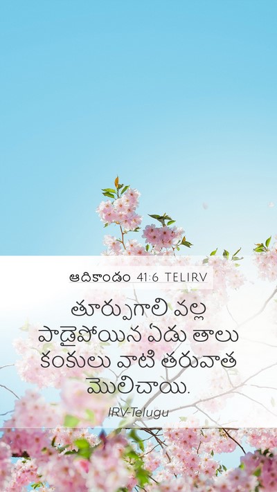 ఆదికాండం 41:6 TELIRV Bible Verse Image