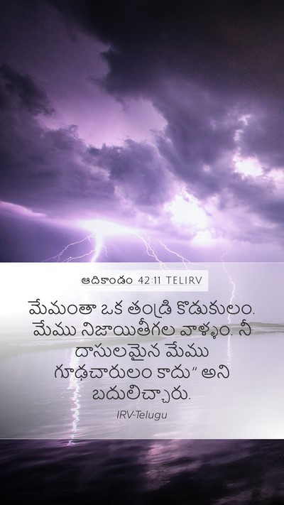 ఆదికాండం 42:11 TELIRV Mobile Phone Wallpaper - మేమంతా ఒక తండ్రి - Mobile Bible Verse Wallpaper