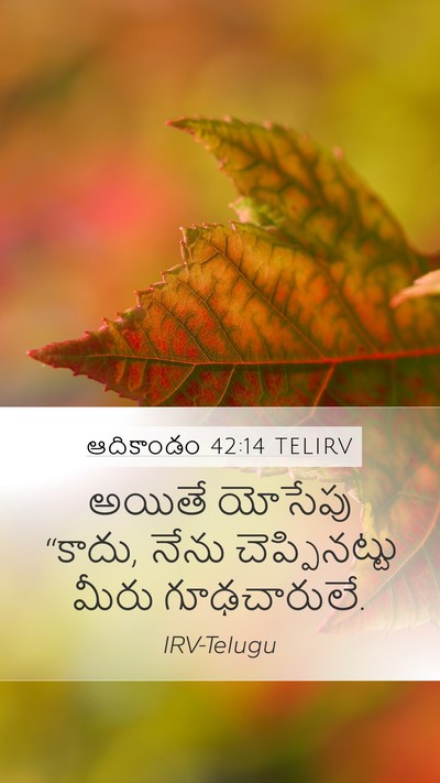 ఆదికాండం 42:14 TELIRV Bible Verse Image