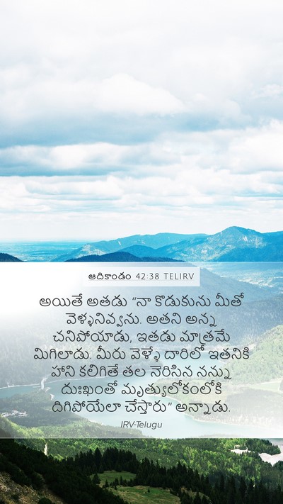ఆదికాండం 42:38 TELIRV Bible Verse Image