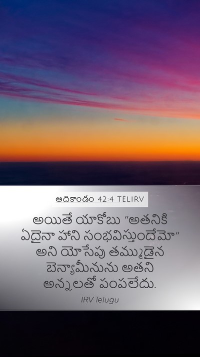 ఆదికాండం 42:4 TELIRV Mobile Phone Wallpaper - అయితే యాకోబు - Mobile Bible Verse Wallpaper