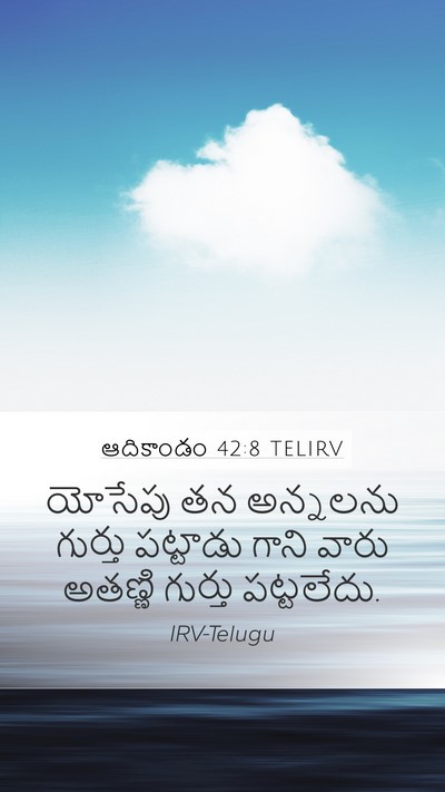 ఆదికాండం 42:8 TELIRV Mobile Phone Wallpaper - యోసేపు తన అన్నలను - Mobile Bible Verse Wallpaper